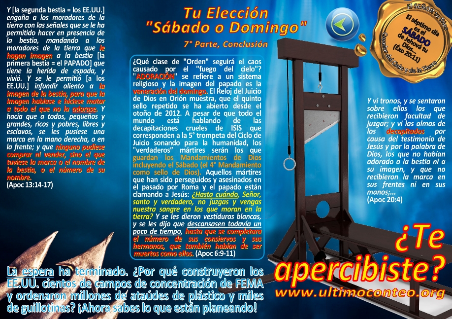 Imagen digital vibrante con texto, gr&aacute;ficos y s&iacute;mbolos. En el centro se destacan letras grandes titulando "Tu Elecci&oacute;n S&aacute;bado o Domingo" con el texto debajo en colores contrastantes y una guillotina en la parte derecha simbolizando decisiones severas y movilizaci&oacute;n social. Incluye menciones a hechos hist&oacute;ricos y propuestas de futuras restructuraciones. Al fondo, una moneda y una medalla doradas con inscripciones en referencia a los d&iacute;as de la semana y eventuales c&oacute;digos de conducta.