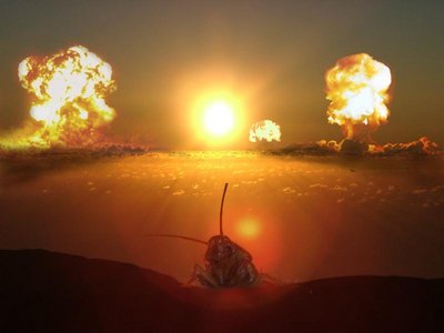 Una imagen art&iacute;stica que muestra tres explosiones brillantes en el cielo sobre un paisaje des&eacute;rtico al atardecer. En primer plano, un escarabajo solitario est&aacute; en una formaci&oacute;n rocosa, silueteado contra el resplandor del sol poniente.