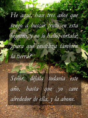 Imagen de una placa con texto b&iacute;blico ubicada entre la vegetaci&oacute;n. El texto dice: "He aqu&iacute;, hace tres a&ntilde;os que vengo a buscar fruto en esta higuera, y no lo hallo; c&oacute;rtala; &iquest;para qu&eacute; inutiliza tambi&eacute;n la tierra? Se&ntilde;or, d&eacute;jala todav&iacute;a este a&ntilde;o, hasta que yo cave alrededor de ella, y la abone".