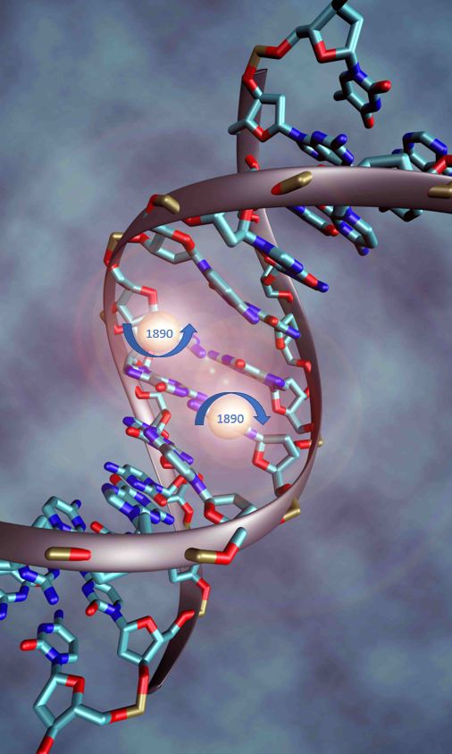 Imagen art&iacute;stica de una estructura de ADN con bases destacadas en colores rojo, azul y blanco. Flechas y n&uacute;meros se&ntilde;alan espec&iacute;ficamente una secuencia, sobre un fondo suavemente nublado.