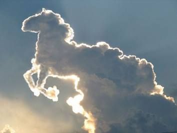 Nube con la forma de un animal cuadr&uacute;pedo en el cielo, iluminada por el sol que se filtra a trav&eacute;s de sus bordes, creando un contraste de luz y sombra.