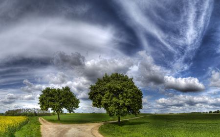 Paisaje campestre en d&iacute;a parcialmente nublado mostrando un camino de tierra dividido por un gran &aacute;rbol. Campos verdes y un cielo dram&aacute;ticamente nublado completan la vista, evocando una escena de serenidad con amplios espacios abiertos y la grandiosidad de la creaci&oacute;n.