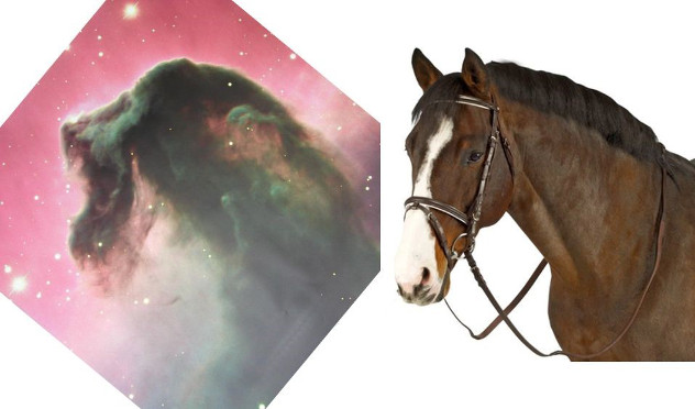 Imagen dividida en dos partes; a la izquierda, una representaci&oacute;n art&iacute;stica de una nebulosa en forma equina dentro de una estrella poligonal rosada, simbolizando una constelaci&oacute;n del Mazzaroth. A la derecha, retrato de un caballo marr&oacute;n con bridas, en un fondo blanco.