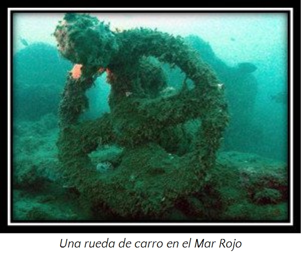 Una estructura submarina cubierta de algas verdes que se asemeja a una rueda, sumergida en las profundidades del Mar Rojo, iluminada d&eacute;bilmente por la luz filtrada a trav&eacute;s del agua.