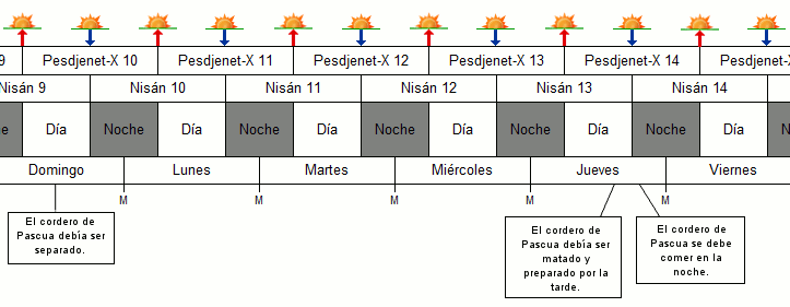 Tabla detallada que muestra una cronolog&iacute;a con eventos marcados desde Nis&aacute;n 9 hasta Nis&aacute;n 14, incluyendo s&iacute;mbolos de estrellas y lunas para indicar d&iacute;as y noches. Cada columna est&aacute; etiquetada con los d&iacute;as de la semana, de domingo a viernes, y notas sobre la preparaci&oacute;n del cordero de Pascua en fechas espec&iacute;ficas.