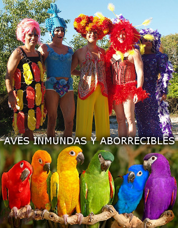 Cinco personas con disfraces coloridos y pelucas diversas que posan al aire libre en la parte superior, y seis loros de brillantes colores sentados sobre una rama en la parte inferior. El texto "AVES INMUNDAS Y ABORRECIBLES" se muestra entre ambas im&aacute;genes.