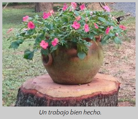 Una maceta de barro sobre un toc&oacute;n de madera que contiene una planta con flores rosadas en un ambiente al aire libre.