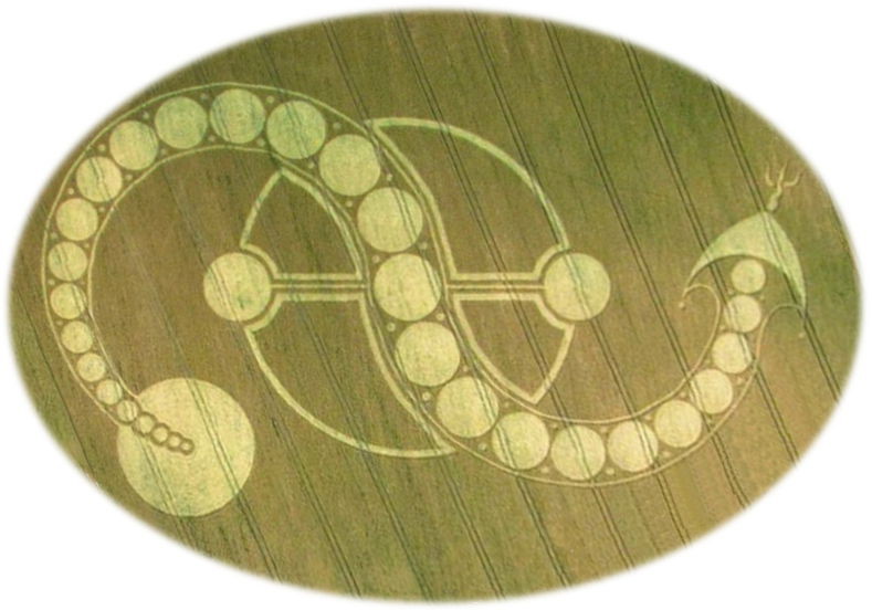 Imagen a&eacute;rea de un campo con un dise&ntilde;o intrincado similar a c&iacute;rculos y l&iacute;neas entrelazadas, creando una figura que recuerda ciertas configuraciones astron&oacute;micas mencionadas en el Mazzaroth.