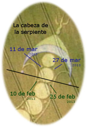 Imagen de un diagrama ovalado con un dise&ntilde;o que representa la cabeza de una serpiente y l&iacute;neas que indican fechas espec&iacute;ficas en febrero y marzo de 2013, sobreimpuesto en un fondo texturizado similar a un pergamino antiguo.