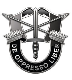 Insignia met&aacute;lica que presenta dos espadas cruzadas con las puntas hacia arriba, unidas por una flecha apuntando hacia abajo, con alas desplegadas a ambos lados. El dise&ntilde;o est&aacute; dentro de un c&iacute;rculo donde se lee "DE OPPRESSO LIBER".