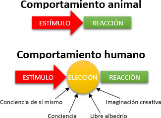 Diagrama que compara el comportamiento animal y humano. En la parte superior, una flecha roja que dice "EST&Iacute;MULO" apunta a una flecha verde etiquetada "REACCI&Oacute;N", representando el comportamiento animal. Debajo, una secci&oacute;n titulada "Comportamiento humano" muestra un diagrama m&aacute;s complejo donde una flecha roja etiquetada "EST&Iacute;MULO" apunta a un c&iacute;rculo amarillo con la palabra "ELECCI&Oacute;N", que luego se ramifica hacia una flecha verde "REACCI&Oacute;N". Del c&iacute;rculo amarillo salen flechas hacia t&eacute;rminos como "Conciencia de s&iacute; mismo", "Imaginaci&oacute;n creativa" y "Libre albedr&iacute;o".