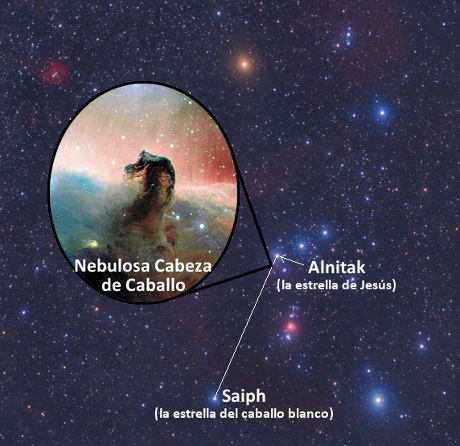 Imagen de una zona del espacio con m&uacute;ltiples estrellas en el fondo y una prominente nebulosa conocida como Cabeza de Caballo en el centro, rodeada por un &oacute;valo. Etiquetas indican nombres de estrellas espec&iacute;ficas como Alnitak y Saiph, asociadas con nombres b&iacute;blicos.