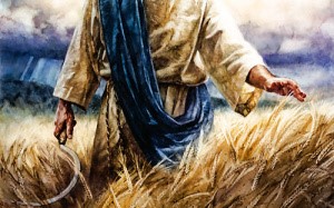 Una ilustraci&oacute;n de un hombre con t&uacute;nica que camina por un campo de trigo dorado, extendiendo su mano hacia los tallos. El cielo al fondo muestra una mezcla de nubes y claros que sugiere un d&iacute;a de cambio clim&aacute;tico.