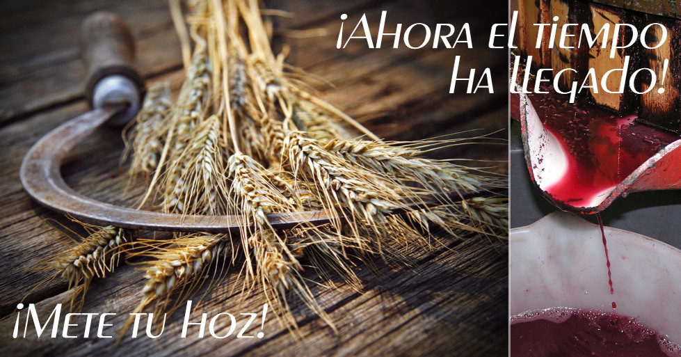 Imagen dividida en dos partes: en el lado izquierdo, una hoz de mano rustica descansa sobre un haz de trigo dorado en una superficie de madera. En el lado derecho, una imagen oscura de vino rojo derram&aacute;ndose de una cubeta de madera a un recipiente. Texto superpuesto dice "&iexcl;Ahora el tiempo ha llegado! &iexcl;Mete tu hoz!"
